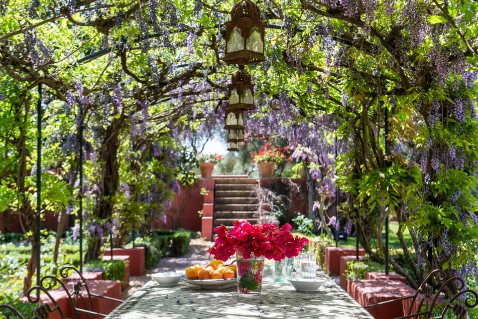 Spring, Day, Natural landscape, Garden, Garden, Garden view
