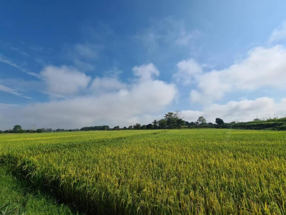 Day, Natural landscape