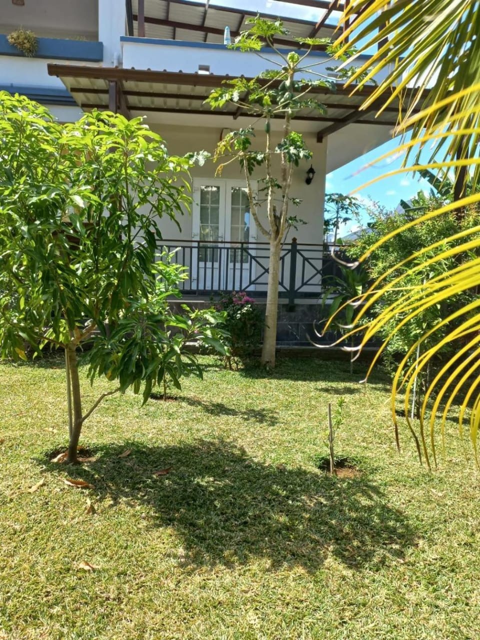 Garden view