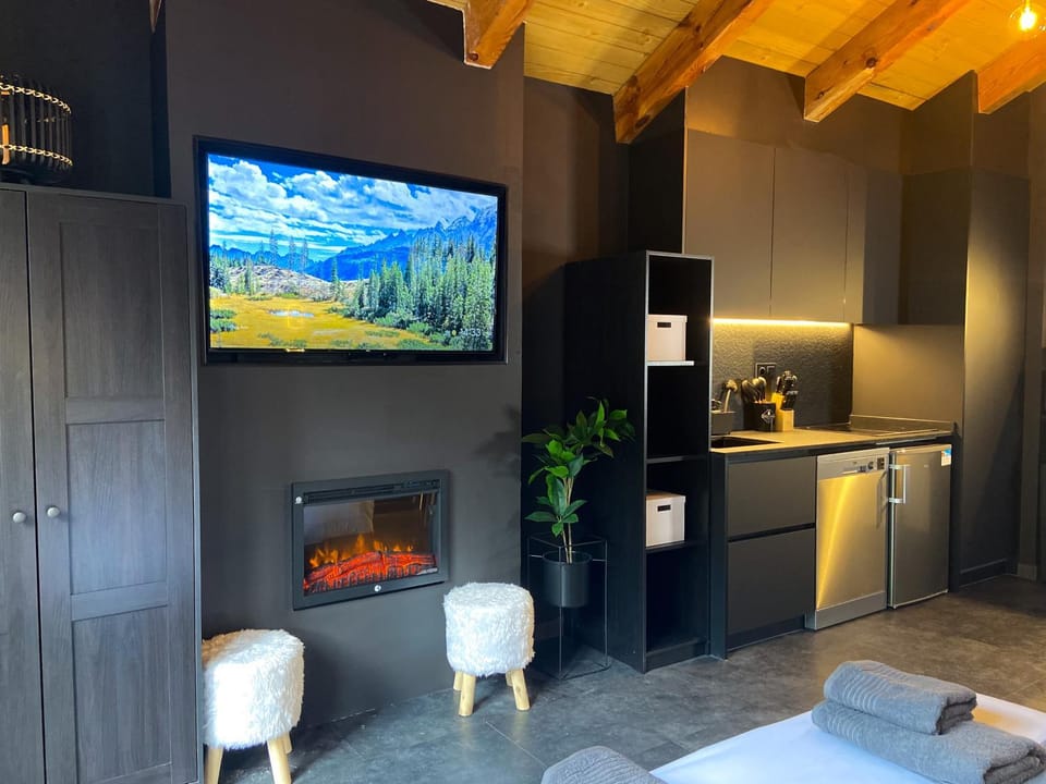 TV and multimedia