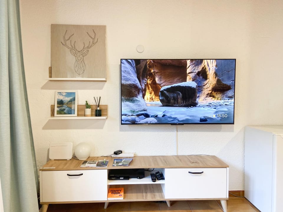 TV and multimedia