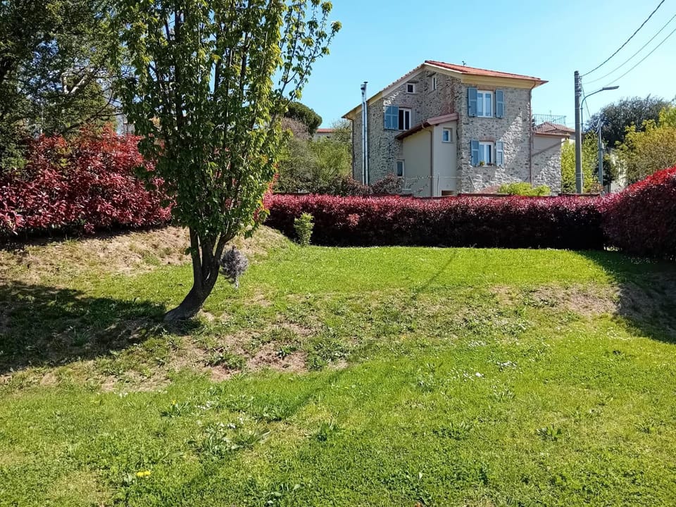 Spring, Day, Natural landscape, Garden, Garden view