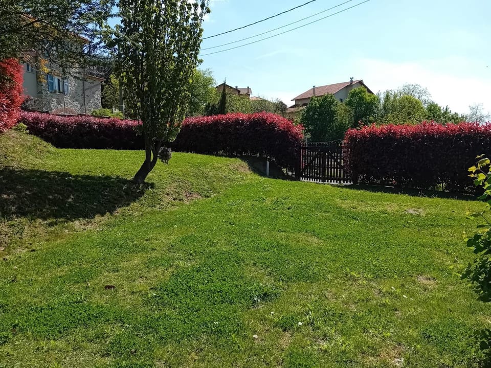 Spring, Day, Natural landscape, Garden, Garden view