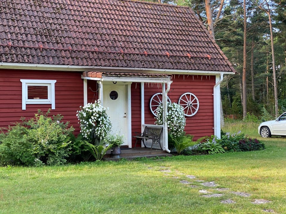Summer, Garden, On site