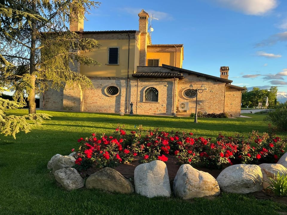 Garden view