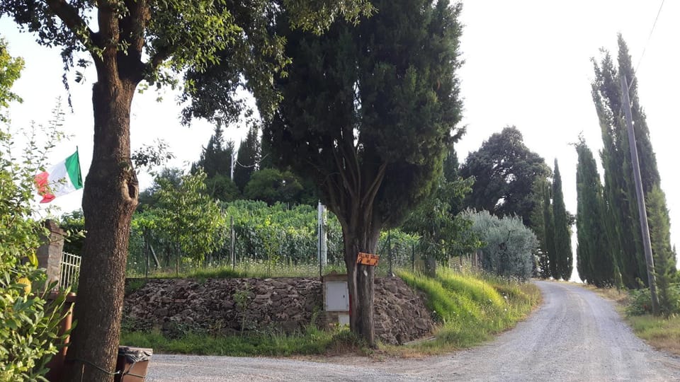 Property building, Facade/entrance, Natural landscape, Street view