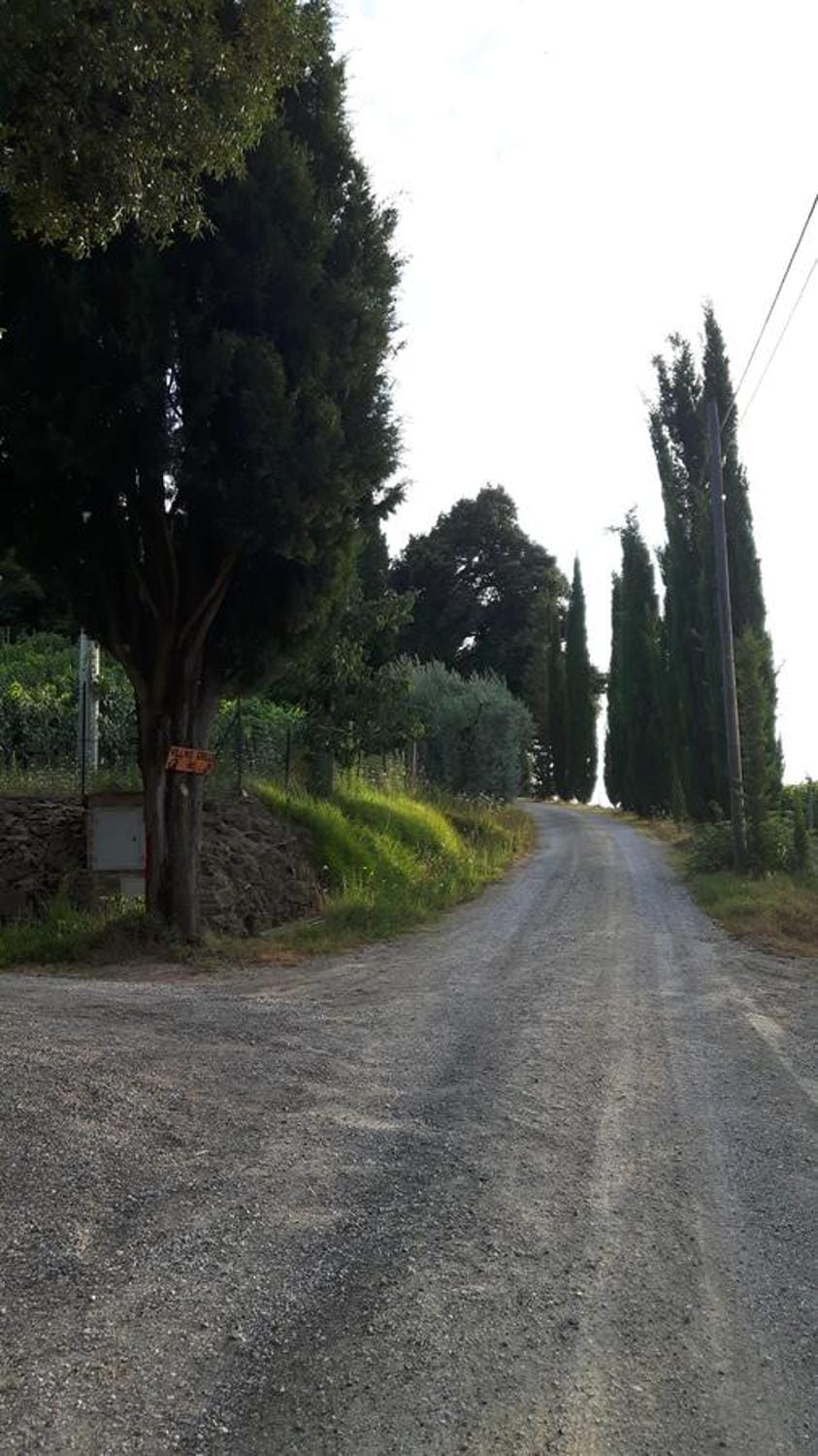 Property building, Natural landscape, Street view