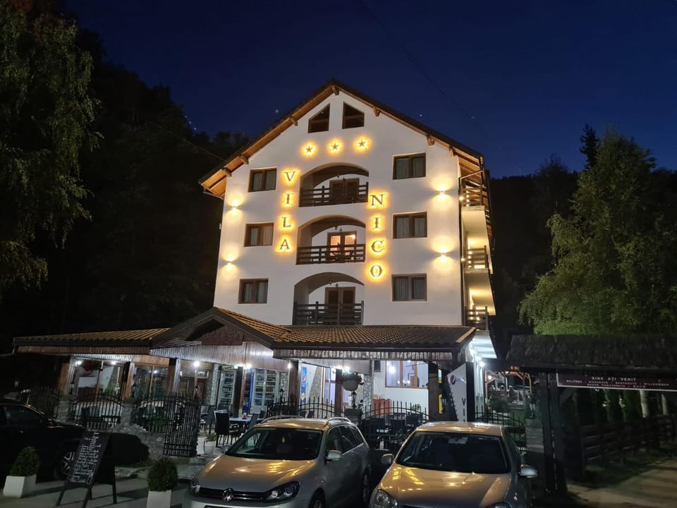 Vila Nico Bed and Breakfast in Romania