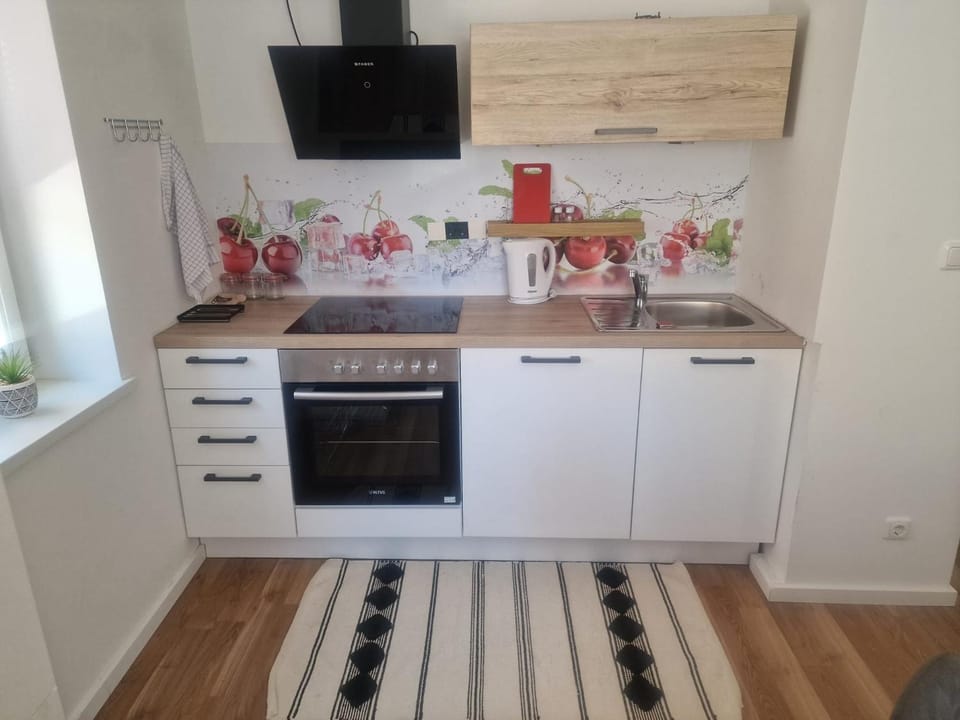 Apartment Emma Apartment in Upper Austria