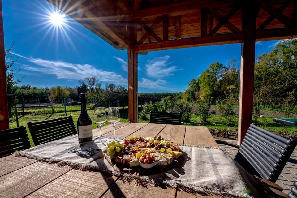 Natural landscape, Garden, View (from property/room), Balcony/Terrace, Food and drinks, Dining area, Garden view