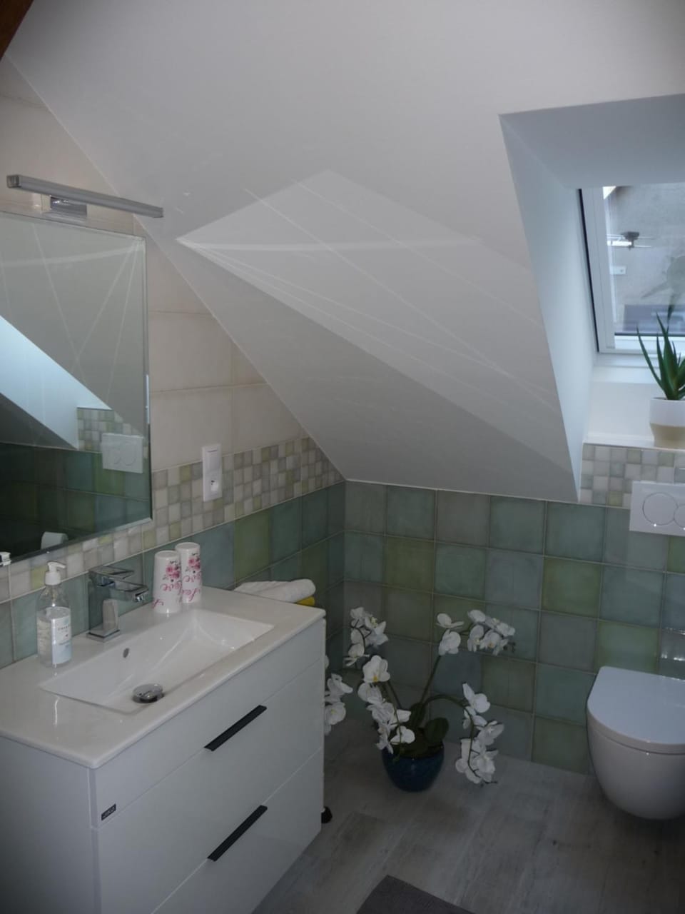 Toilet, Bathroom, bidet