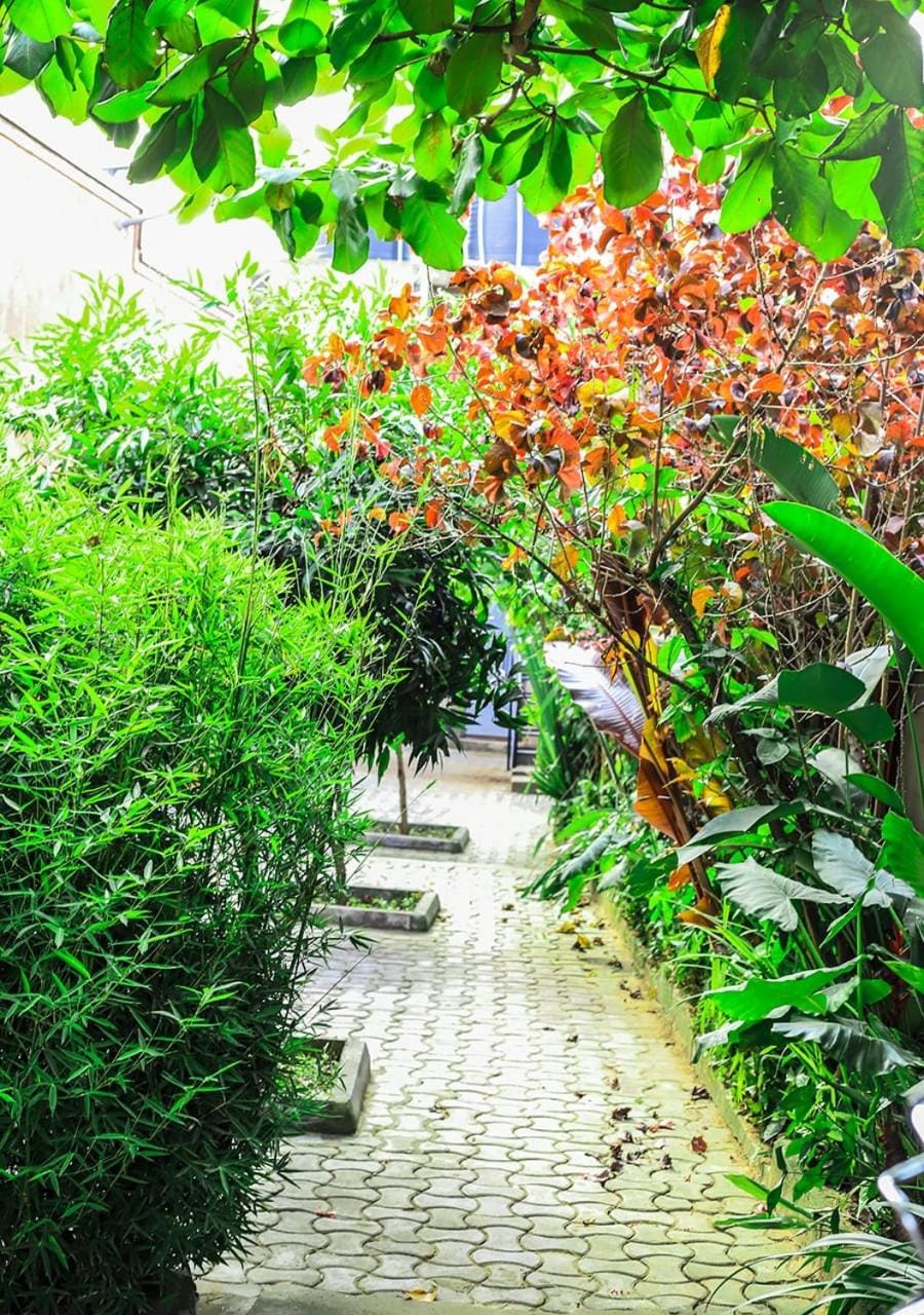 Garden, Garden view