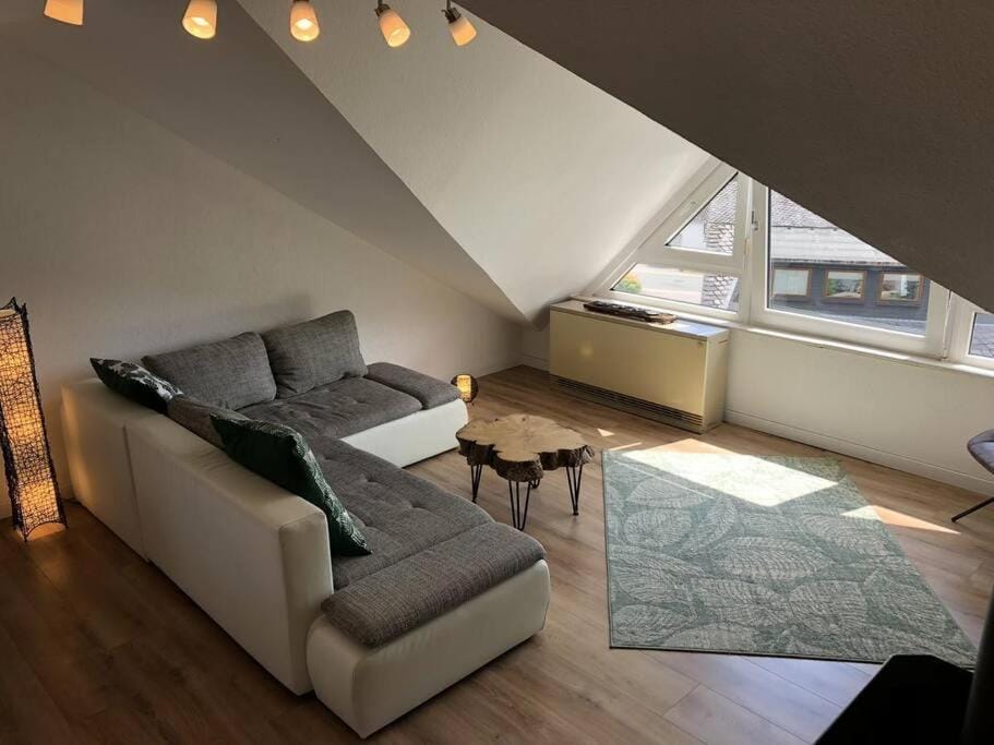 Katya Apartment in Winterberg