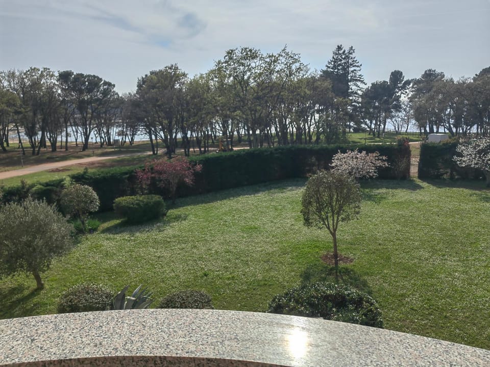 Natural landscape, Garden, View (from property/room), Garden view, Sea view, Sea view, Inner courtyard view
