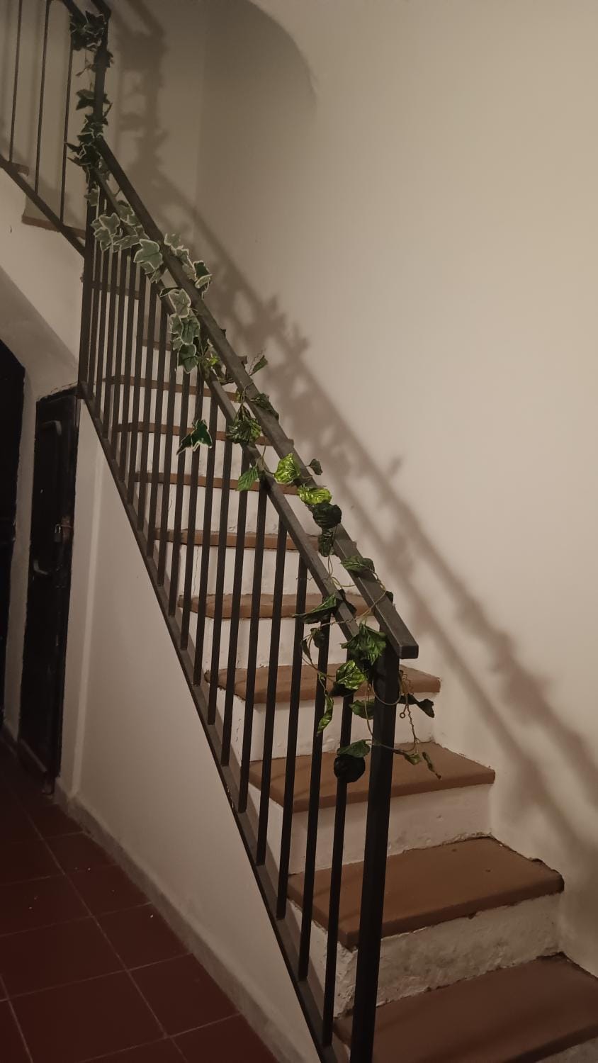 Casa Selinunte Apartment in Palermo