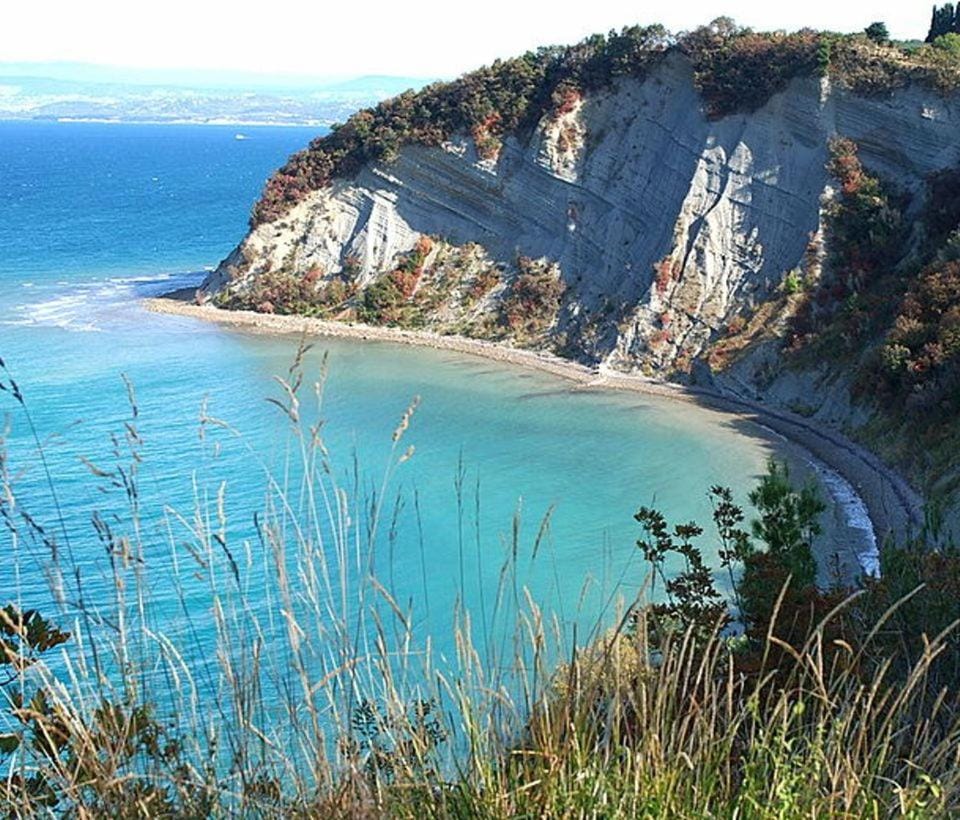Neighbourhood, Natural landscape, Beach
