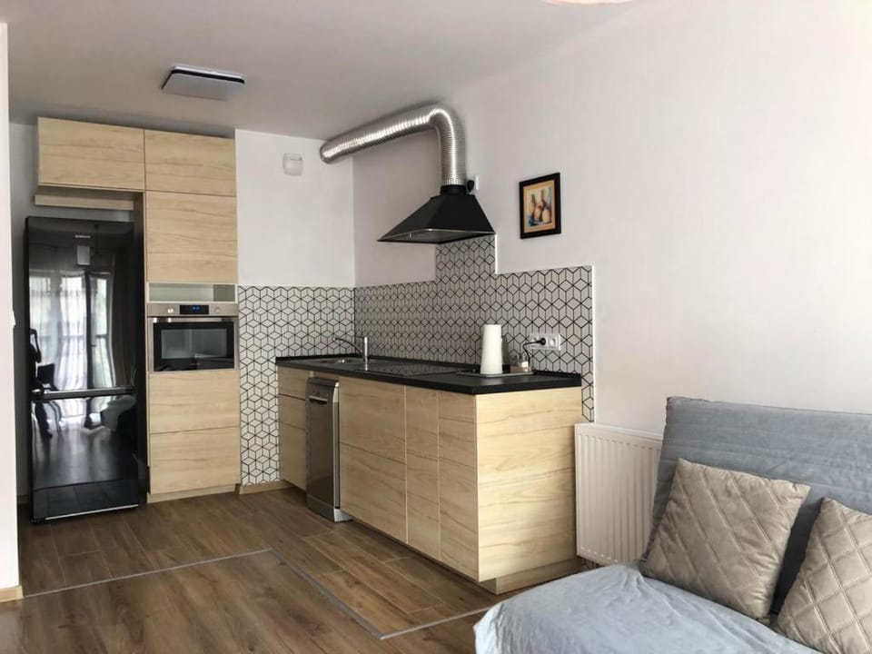 Kitchen or kitchenette, minibar, pet friendly