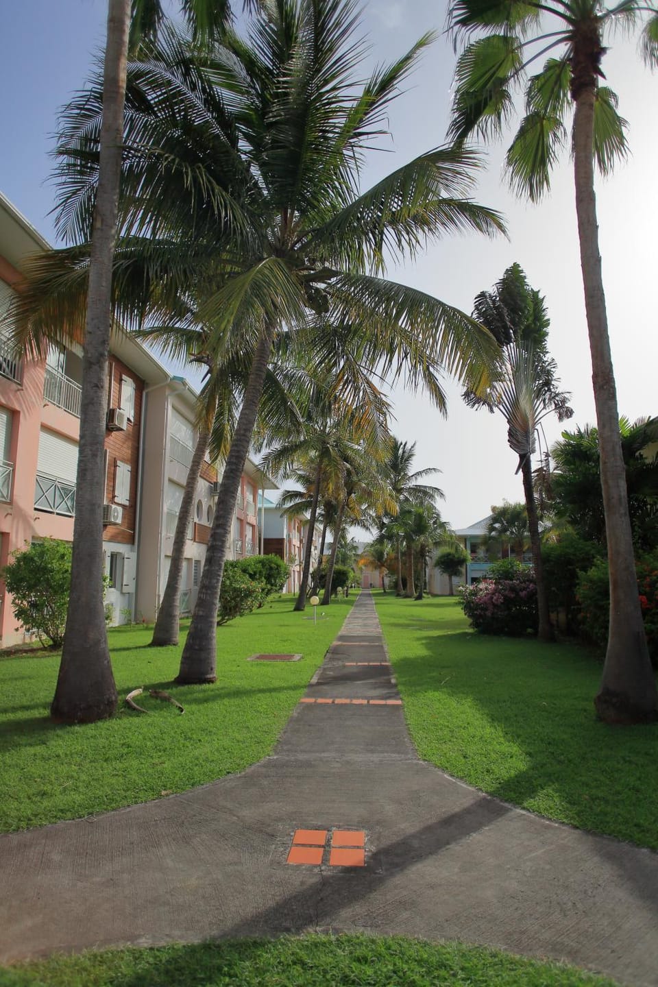 Garden, Garden view