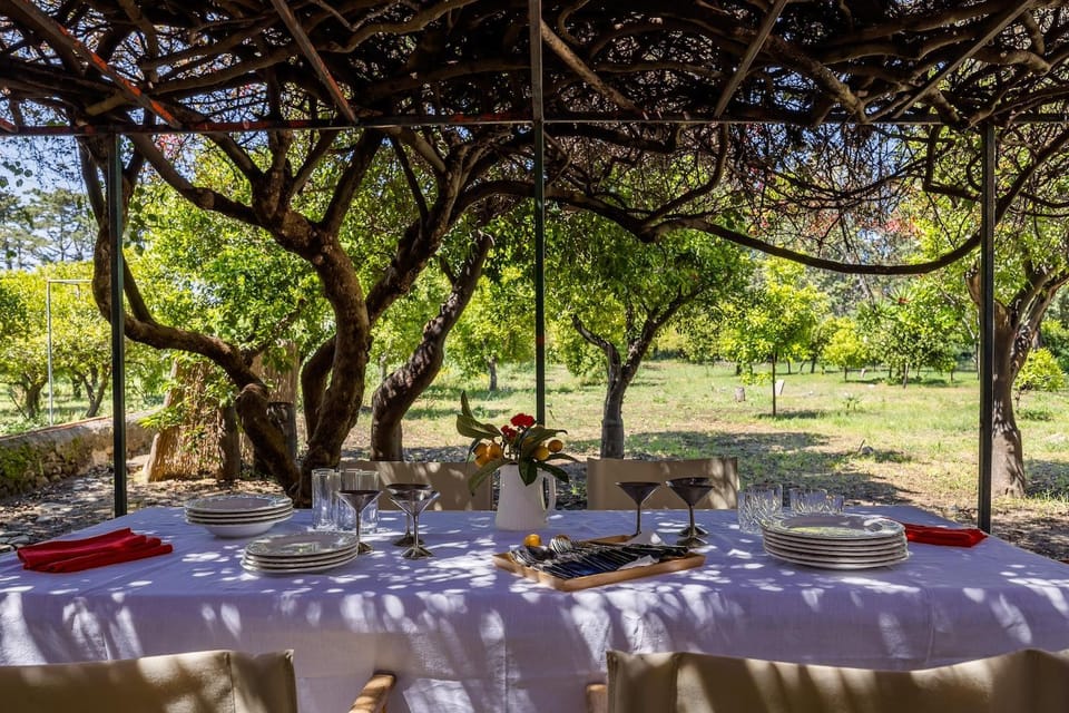 Day, Garden, Dining area, Garden view
