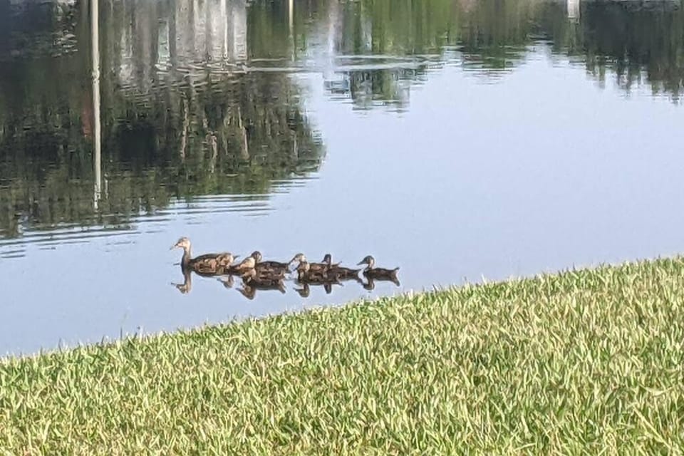 Port Saint Lucie A Little Piece Of Heaven- Peaceful Lake view Apartment- 1 min from I95 and Turnpike Apartment in Port Saint Lucie