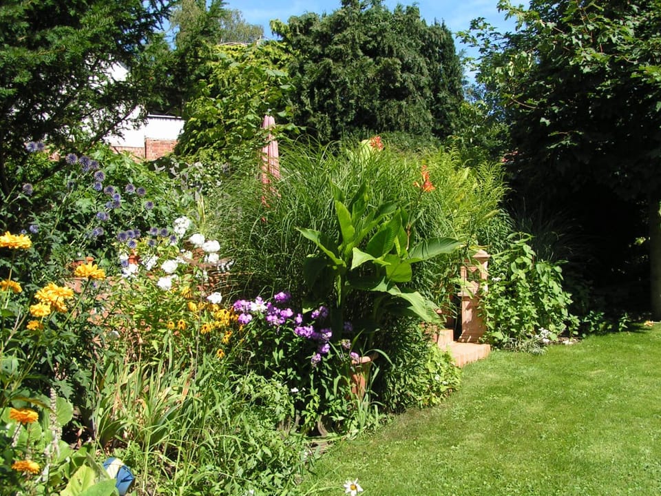 Garden, View (from property/room)
