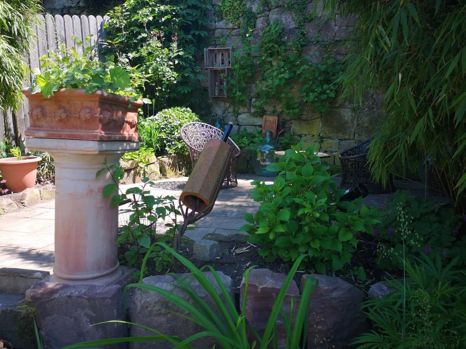 Garden, Garden, Garden view