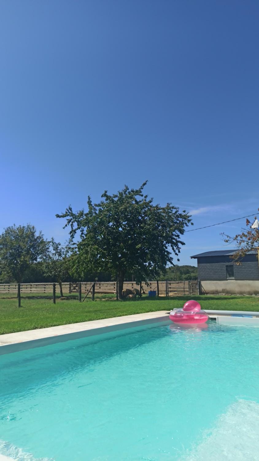 Swimming pool