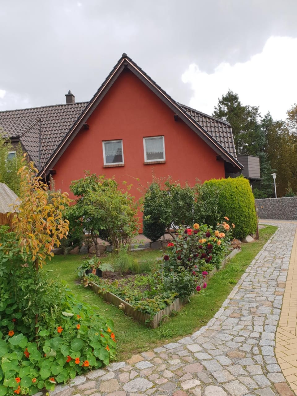 Garden view