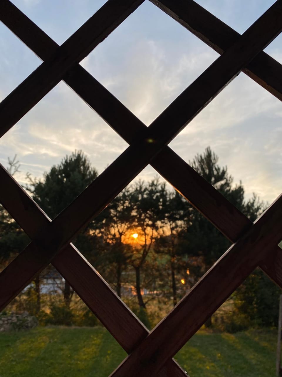 Garden, Sunset