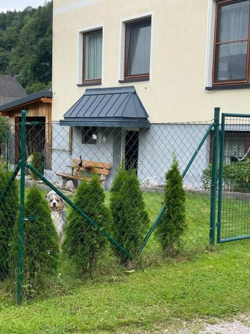 Gemütliche kleine Wohnung mit Garten Apartment in Upper Austria