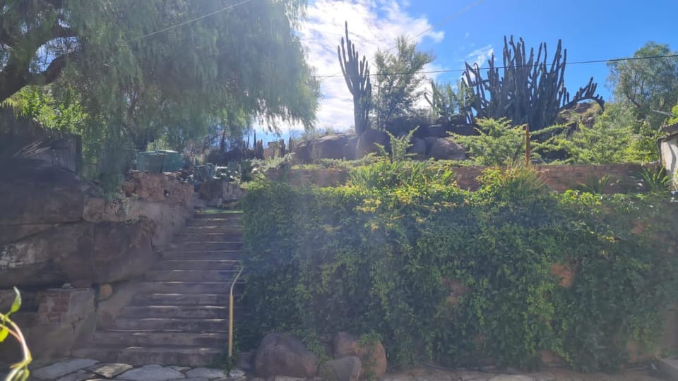 Natural landscape, Garden, Garden view