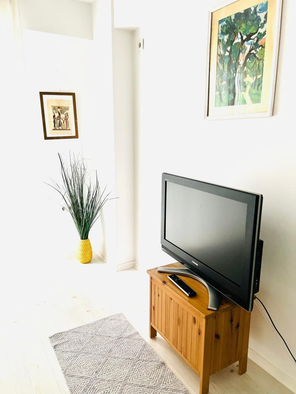 TV and multimedia