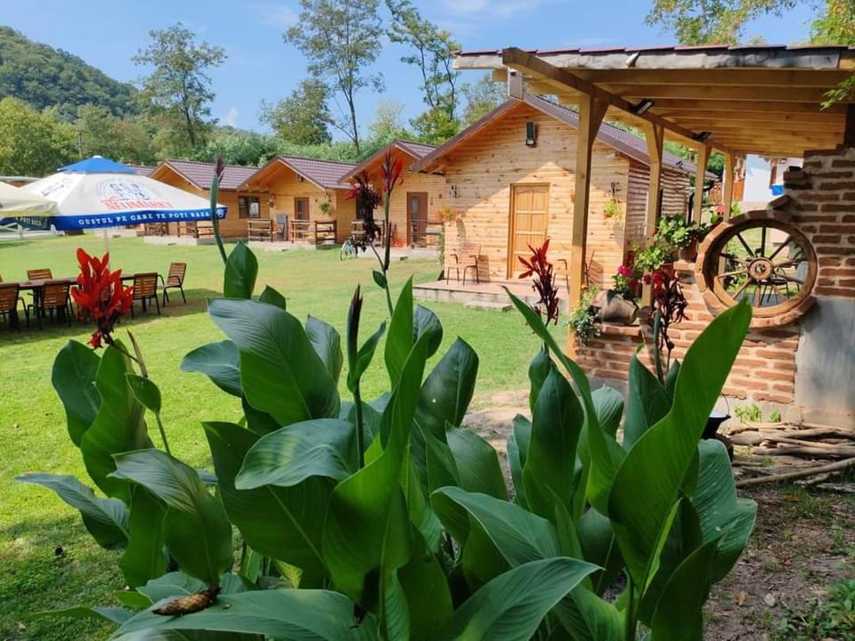 Property building, Day, Garden view