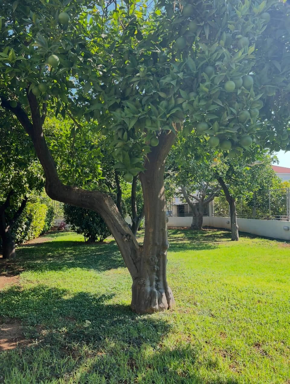 Carpe Diem Corinthian Suites 2 Villa in Peloponnese Region