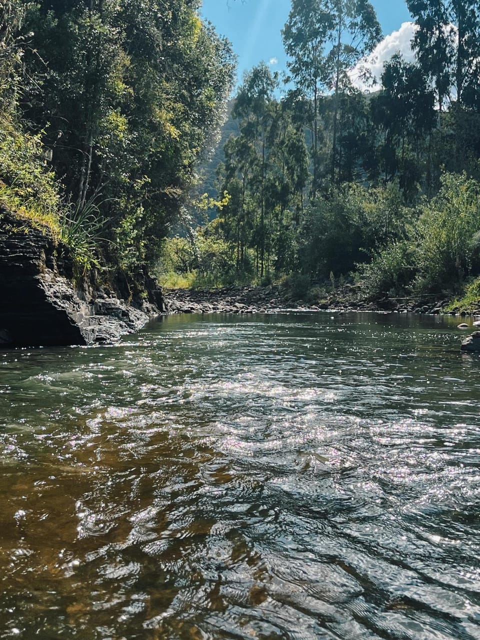 Natural landscape
