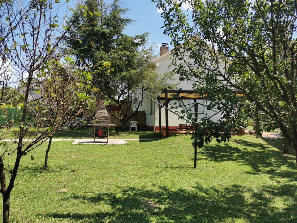 Big Borak House in Serbia