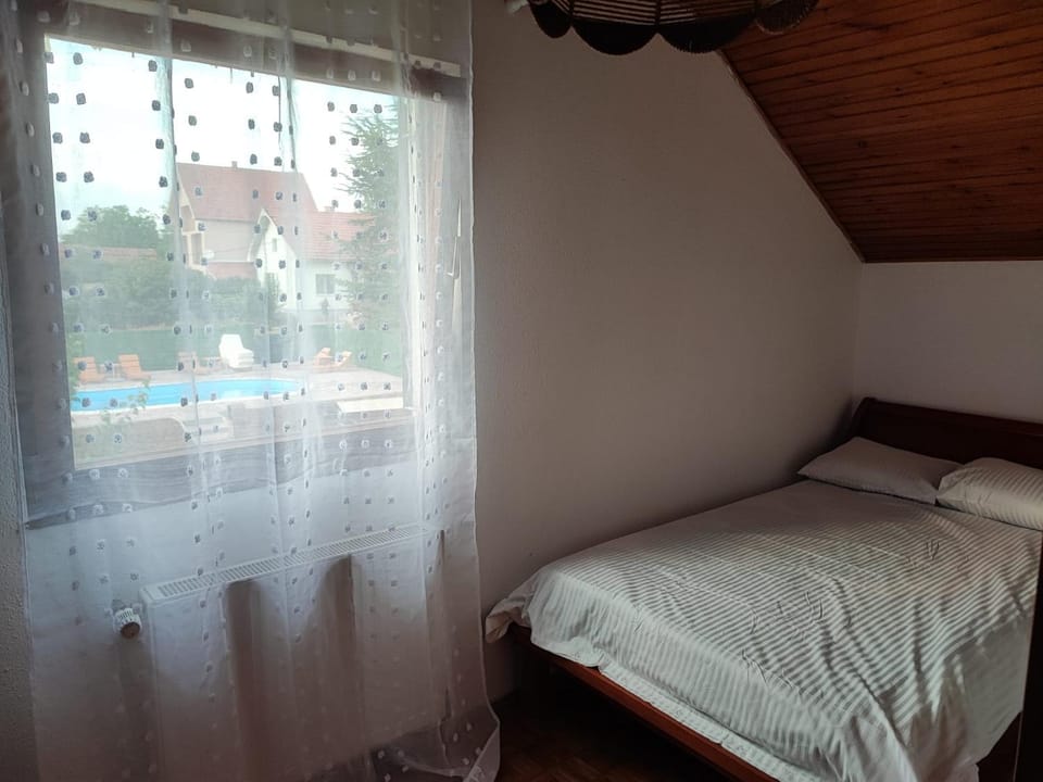 Big Borak House in Serbia