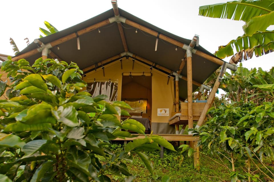 Bedroom, Garden view, Mountain view
