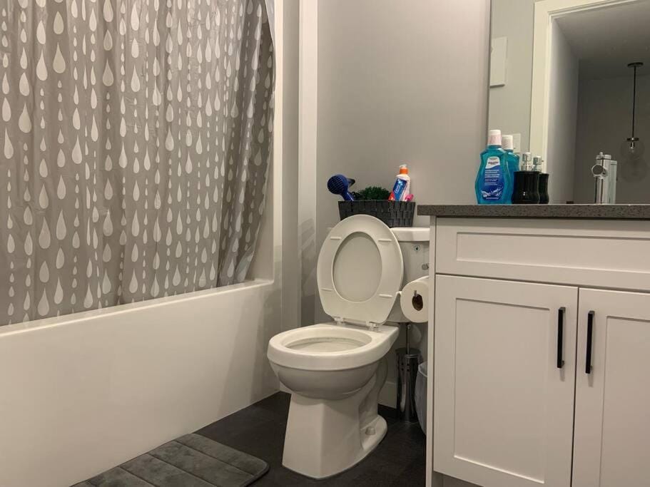 Toilet, Bathroom