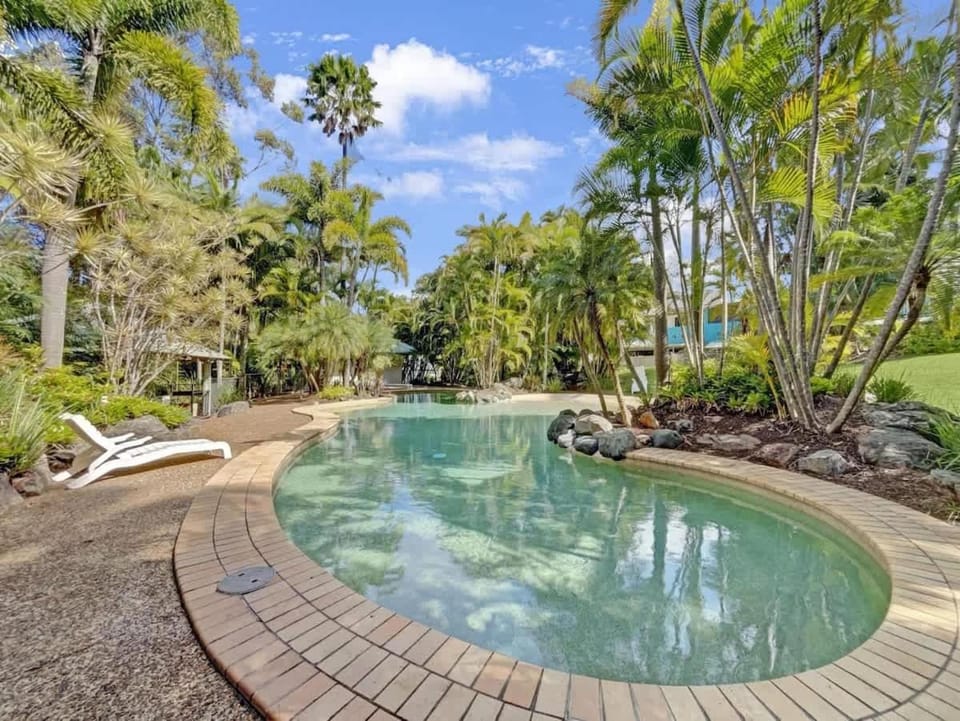 Garden, Swimming pool, sunbed