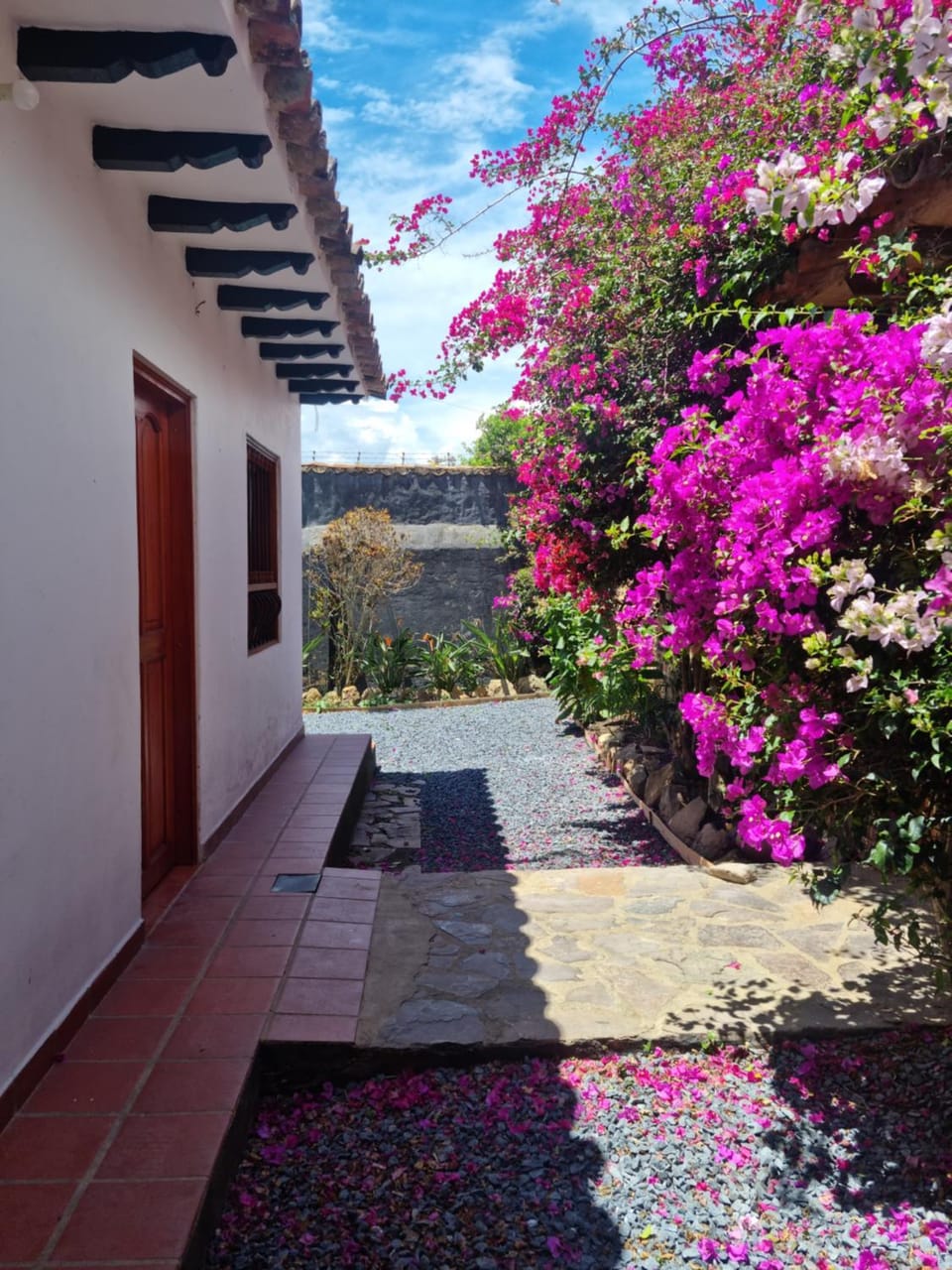 Garden view