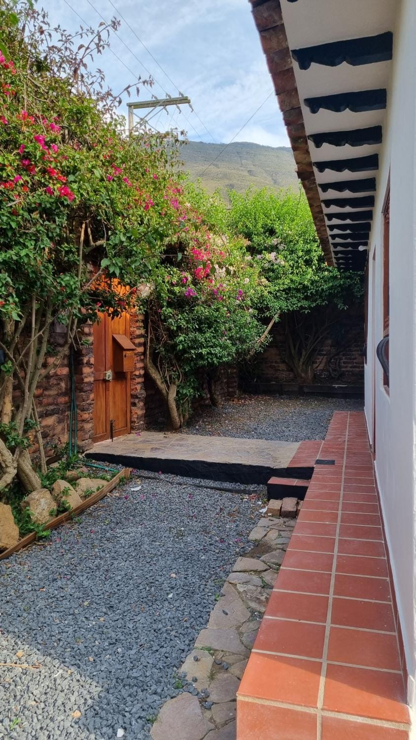 Garden view