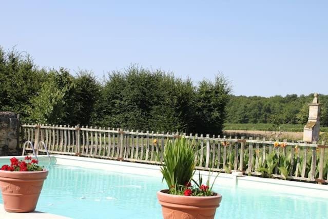 Garden, Pool view, Swimming pool
