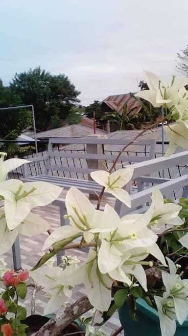 A Unique and Cozy WholeHouse in Babak Samal Island House in Island Garden City of Samal