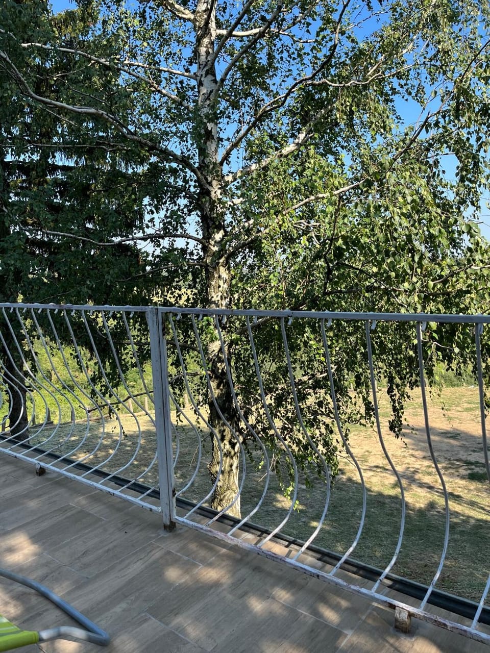 Natural landscape, Garden, Garden view