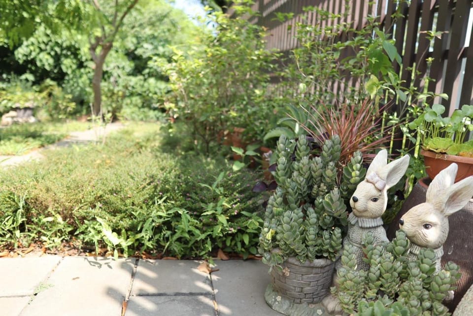 Garden view
