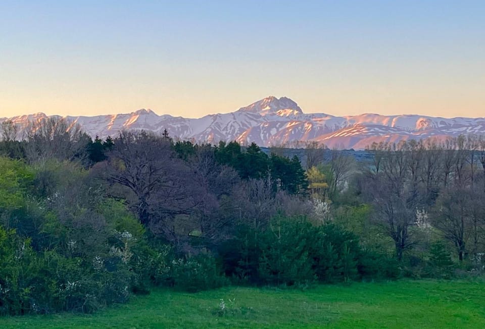 Balcony/Terrace, Mountain view