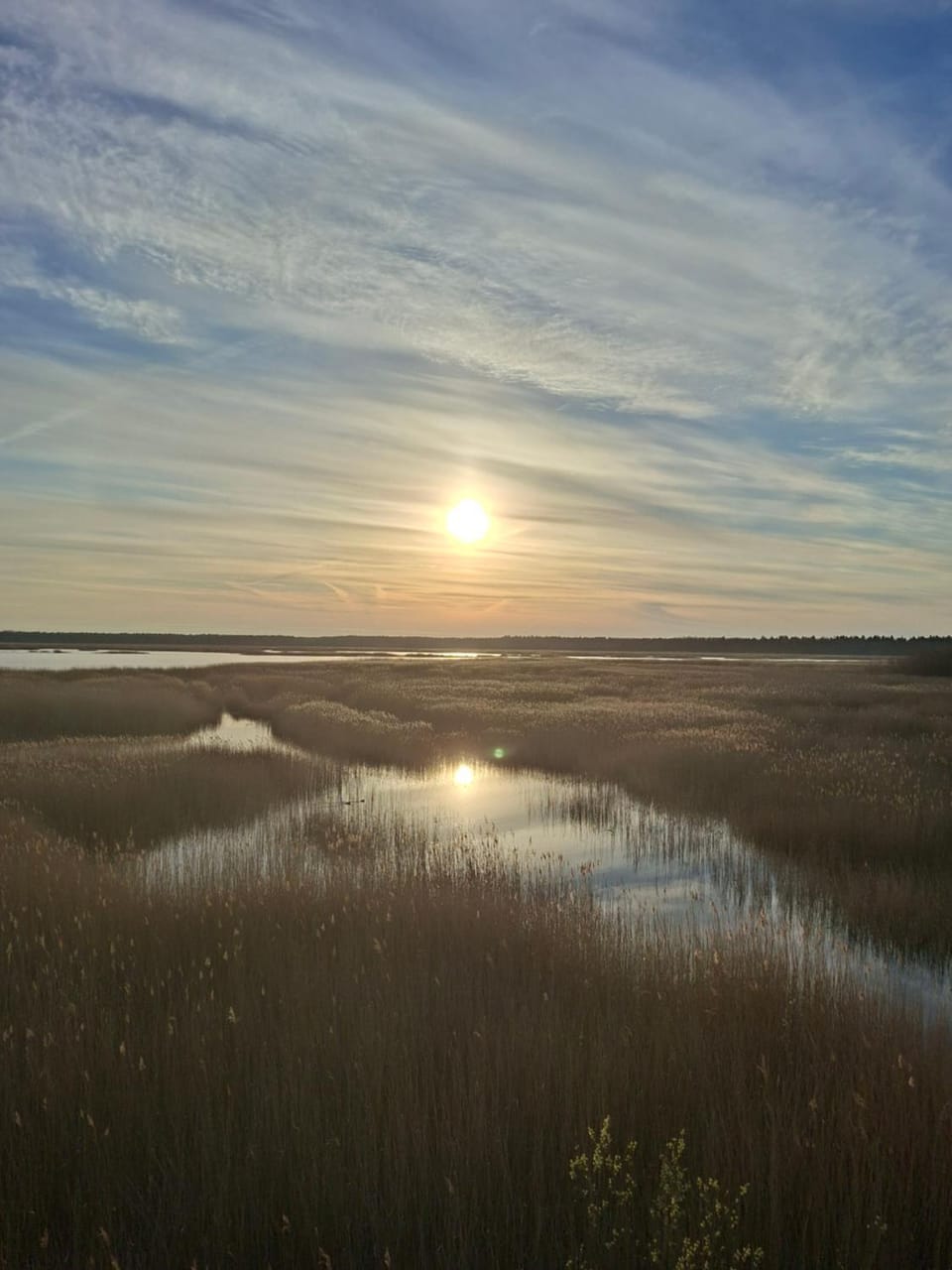 Lake view