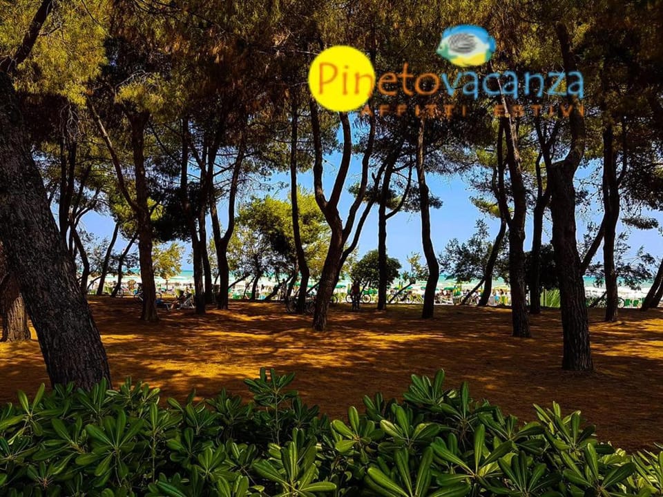 Natural landscape