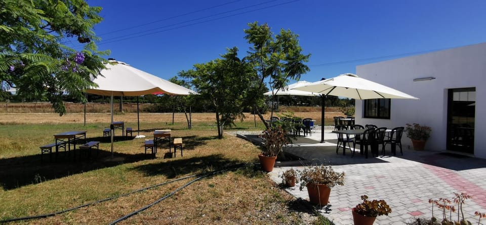 Patio, Garden